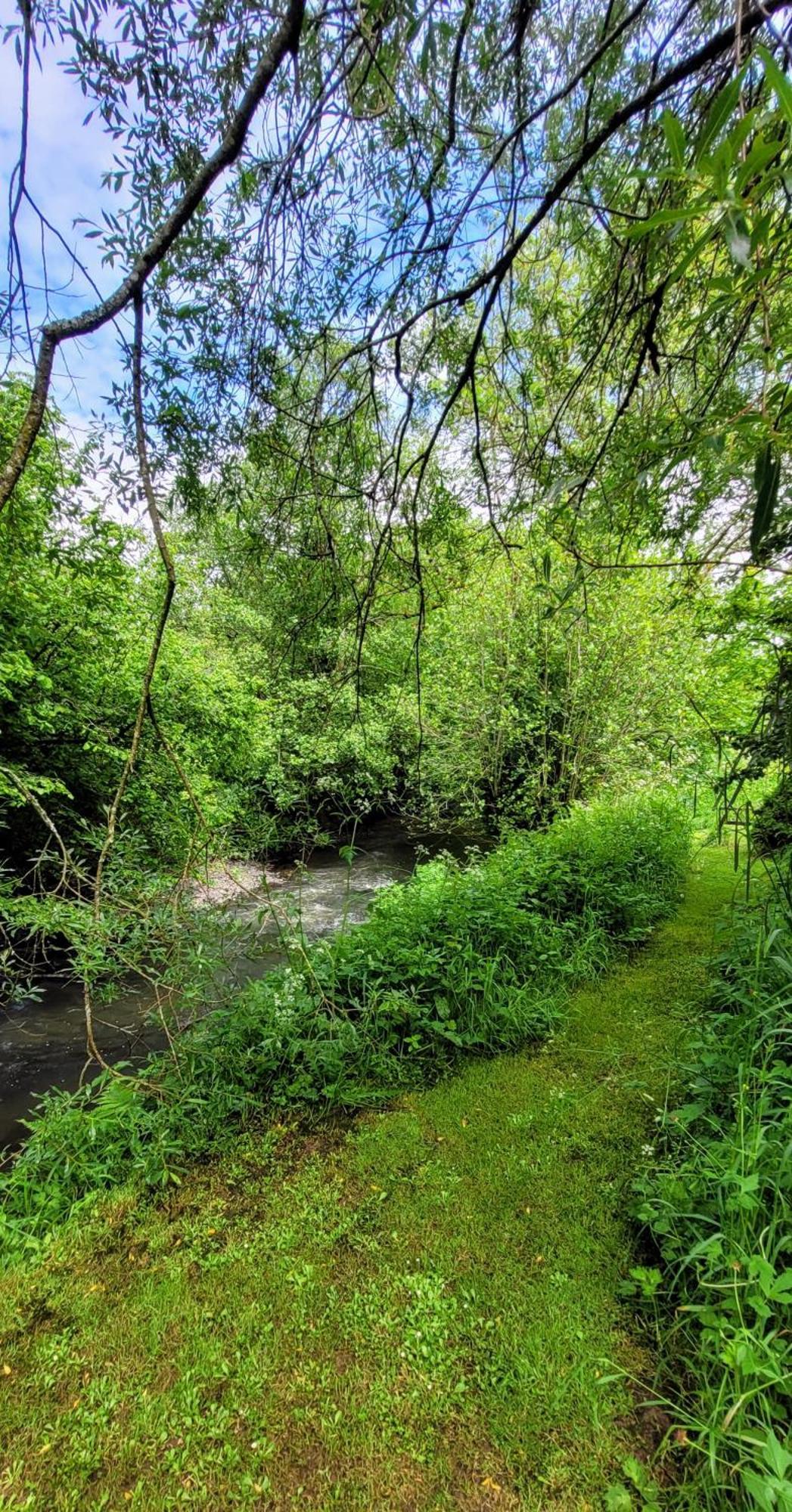 Kingsley Cottage - Beautiful Riverside Setting Beaworthy Exterior foto